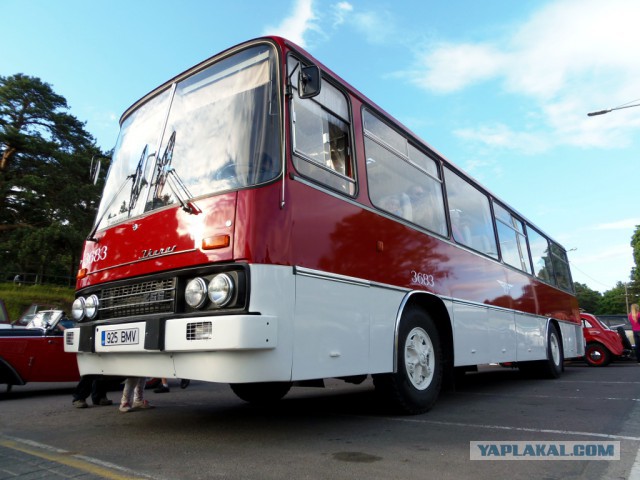 Автобусы СССР: известные и малоизвестные, красивые и не очень
