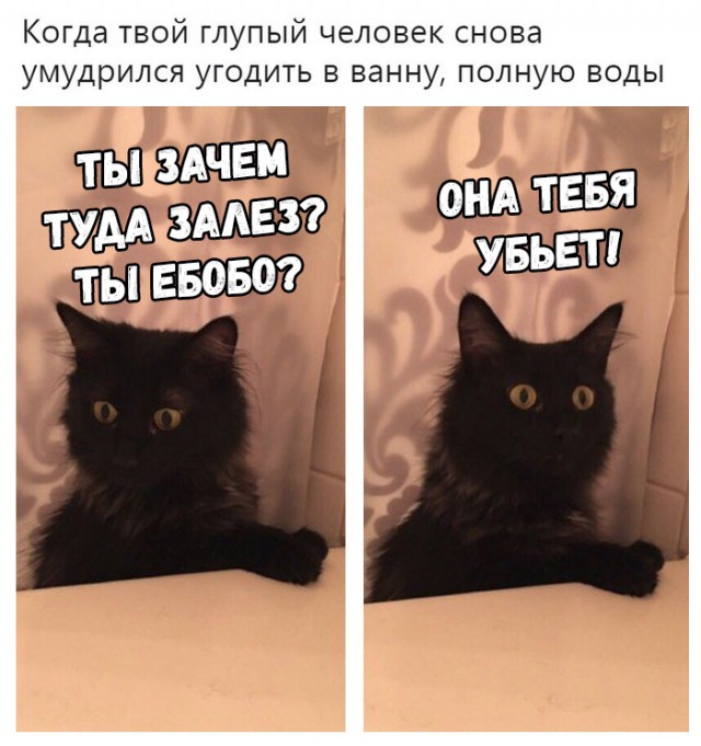 Прикольные картинки абавсём