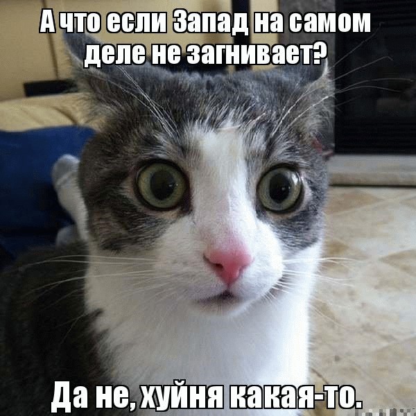 И еще кое что о жизни в США