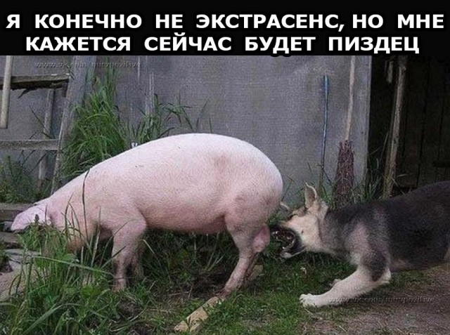 Чёрная мешанина