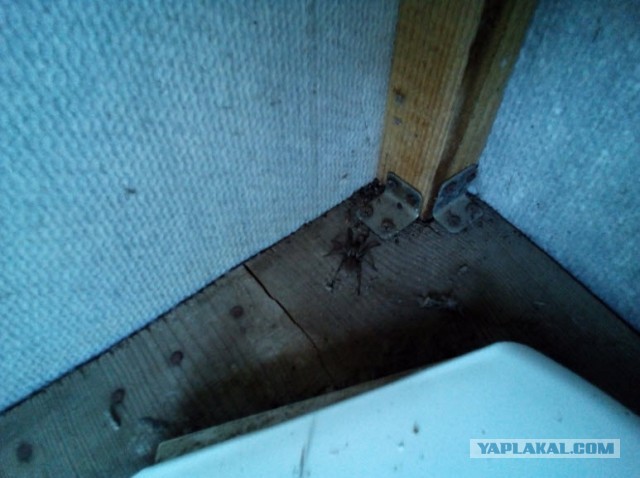 Знакомство