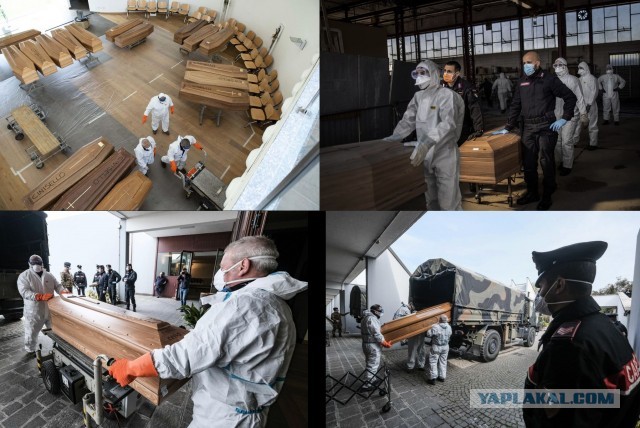 Пандемия. Коронавирус. Россия и мир. Последняя информация. Часть 11