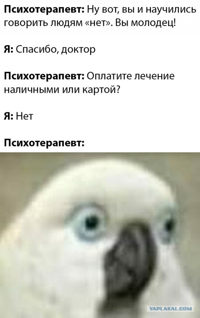 Чуток картинок 11.05.20