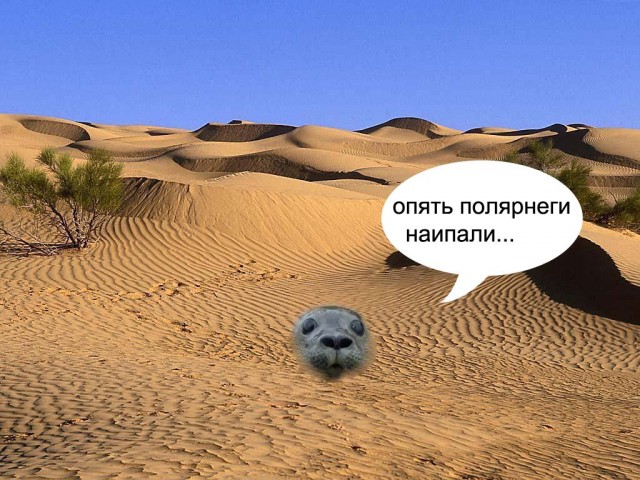 Фотожаба: Испуганый морской котик