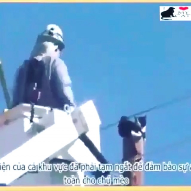 Чего тебе надо, кожаный?