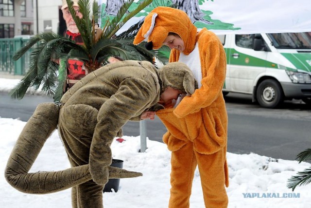 Фотожаба: А ты мальчик, или девочка?