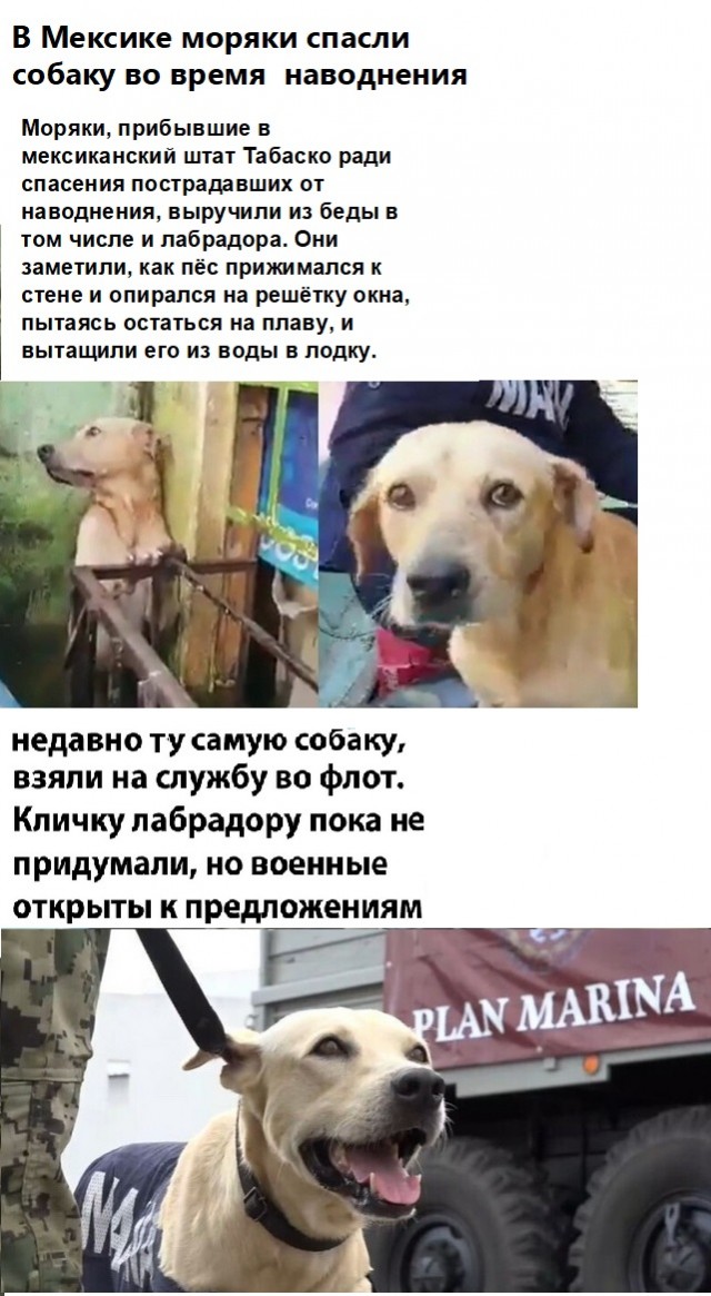 Картинки с надписями и всякие жизненные фразы