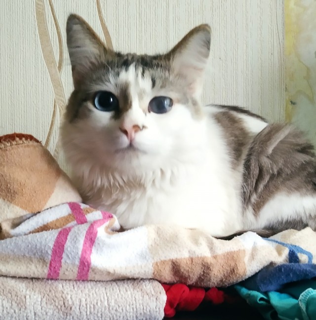 Похититель плохого настроения!