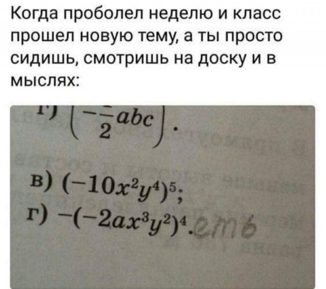 Картинки и мемы для настроения 016