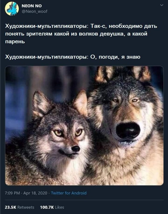 Картинки и мемы для настроения 020
