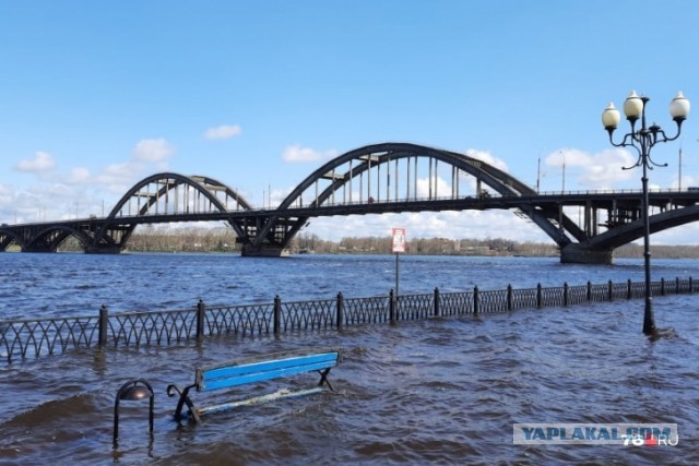 Исчезла рыба в Волге и других реках. Причина этого и кто виноват