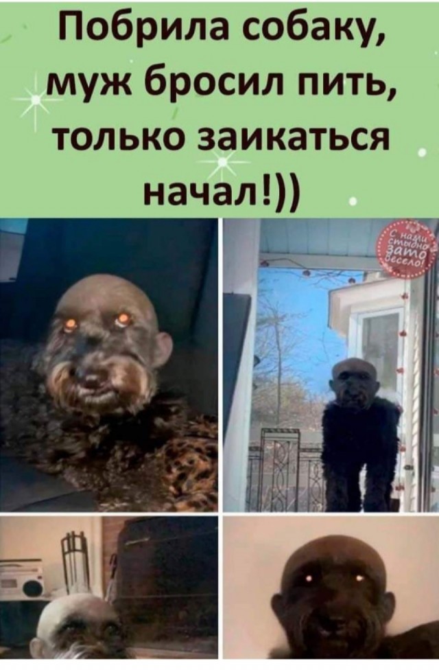 Картинки и фразы 9-го июня... тридцать штук