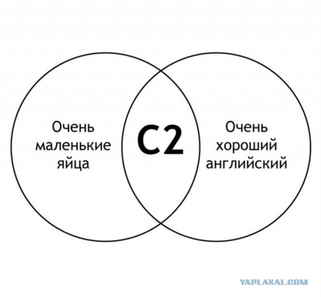 Свинегрет: картинки, надписи и прочее на 06,07.202 или №31