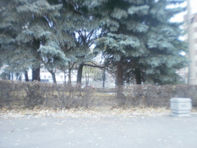 Кулинарная беседка