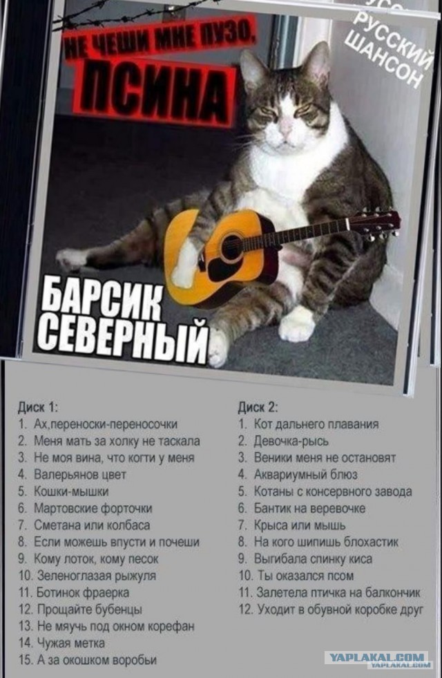Караул моя начальница ходит на работу голая 