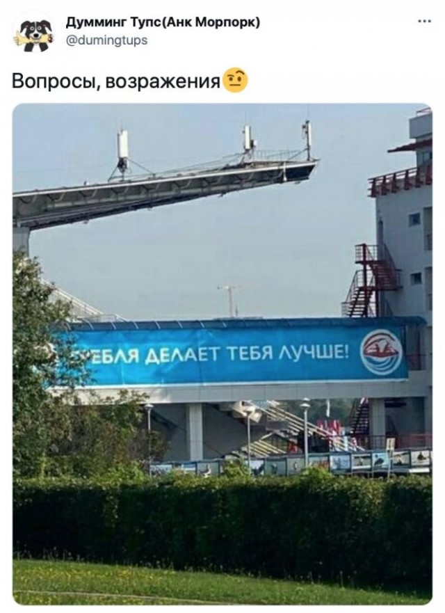 Картинки и мемы на все случаи жизни