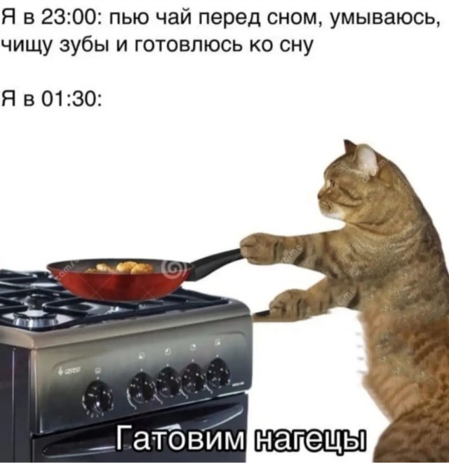 Весёлый полтишок 16.10
