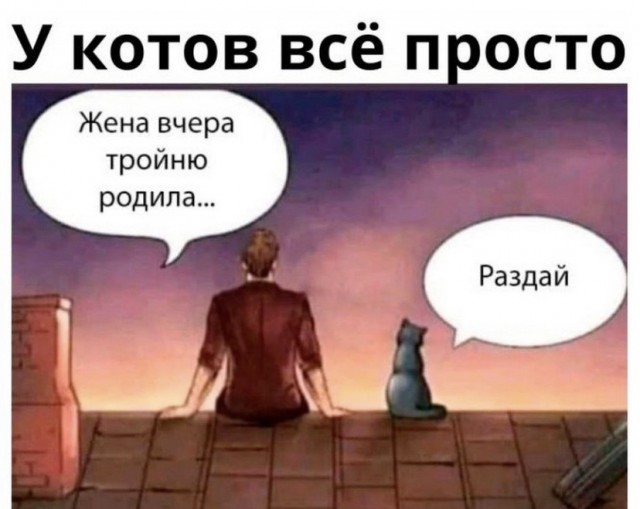 Картинки и мемы, всем прекрасных выходных