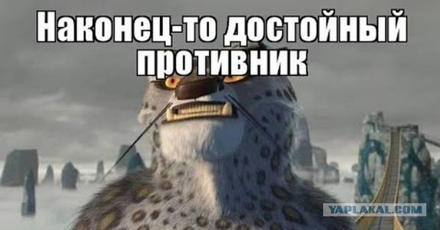 В РПЦ оскорбились высказыванием Артемия Лебедева о мощах святых