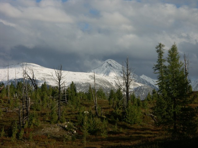 В ноябре на Алтае 2010г.