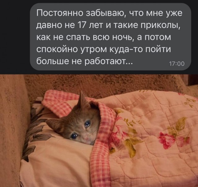 Картинки и мемы для настроения - 15