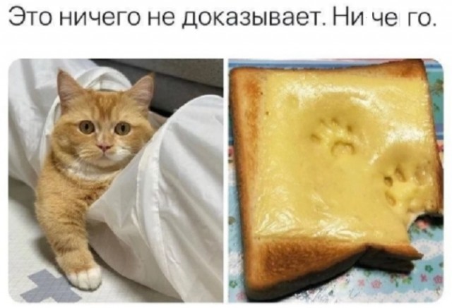Картинки с надписями и всякие жизненные фразы