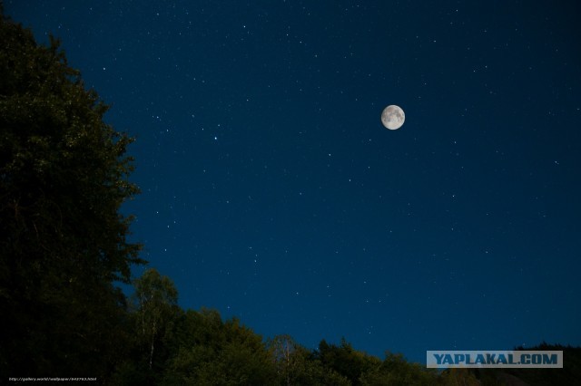 Потрясающий таймлапс Земли, поднимающейся над Луной, снятый лунным орбитальным аппаратом Кагуя