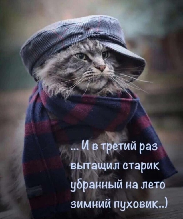 Пандемия. Коронавирус и съехавшие крыши. Россия и мир. Часть 35