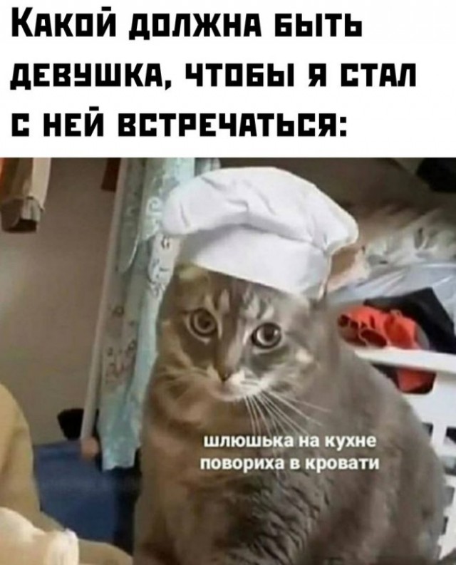 Чуток картинок 13.06.22