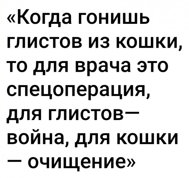 Коллективная ответственность