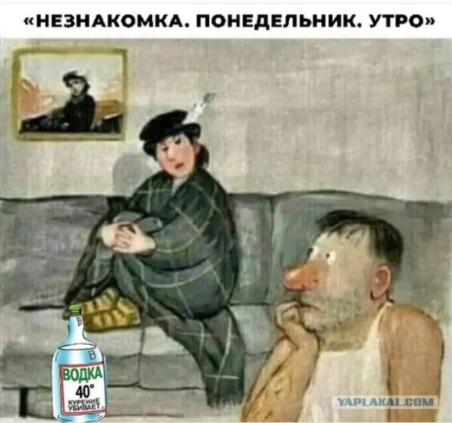 Забавные комментарии из социальных сетей (17.10.22)