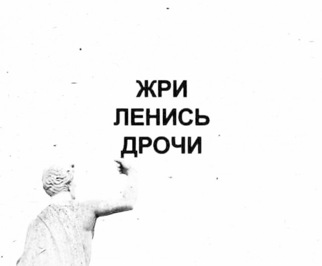 Весёлый полтишок 29.12.22