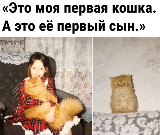 Чуток картинок 22.01.23