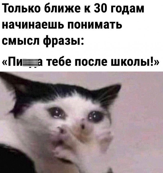 Так себе картинки 23.02.23