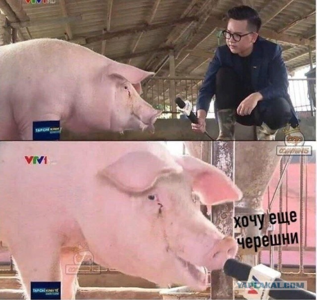 Жить ли с РСП?