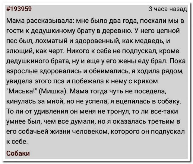 Забавные комментарии из социальных сетей (16.10.23)