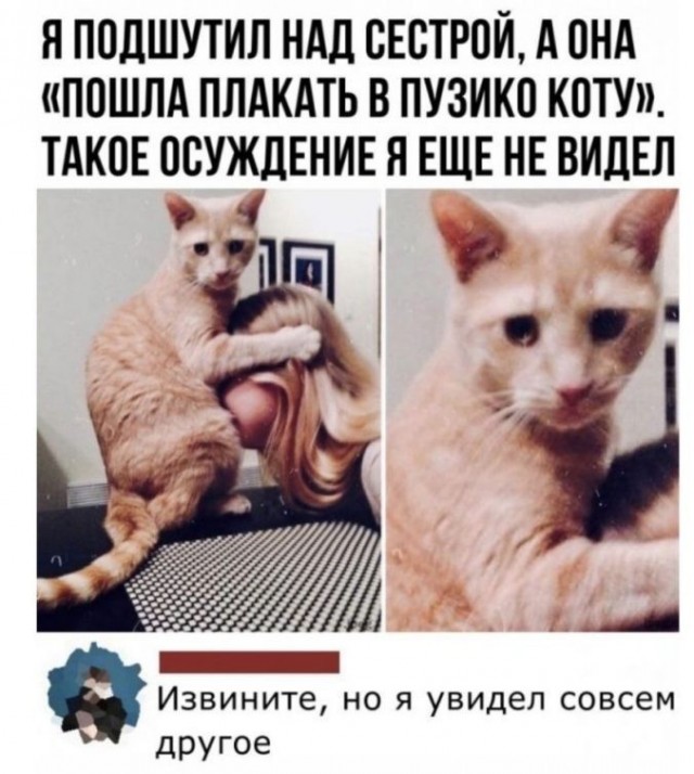 Пятничные картинки 19.01.2024