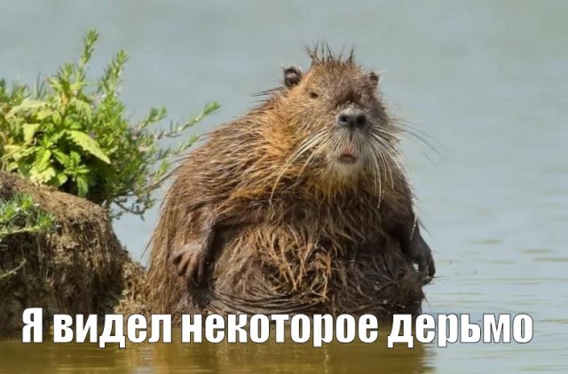В Польше всё стабильно