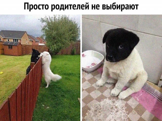 Так себе картинки 14.04.24