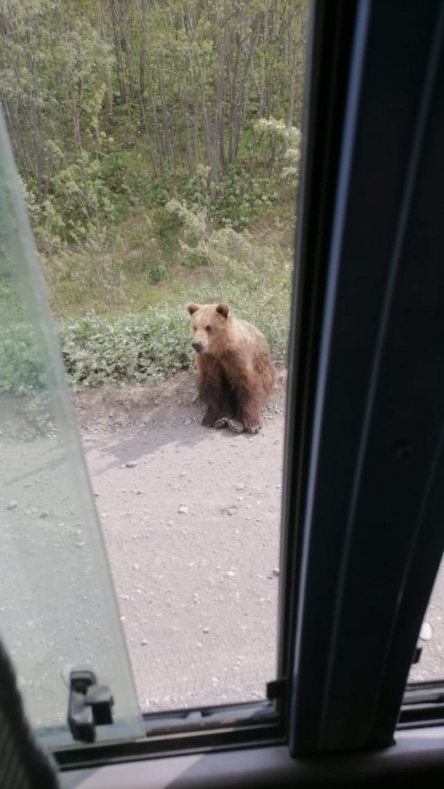 12 марта в Пахачах оттепель с влажным восточным ветром