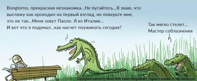Обычная собака во Флориде