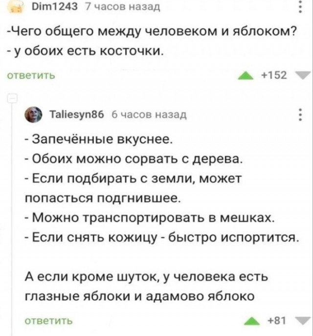 Немного забавных картинок от 13.10.2024