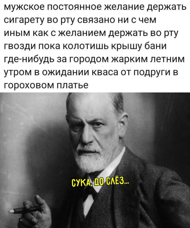 Весёлый полтишок 14.10.2024