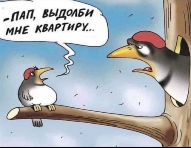 Завалялось тут случайно немного забавных картинок