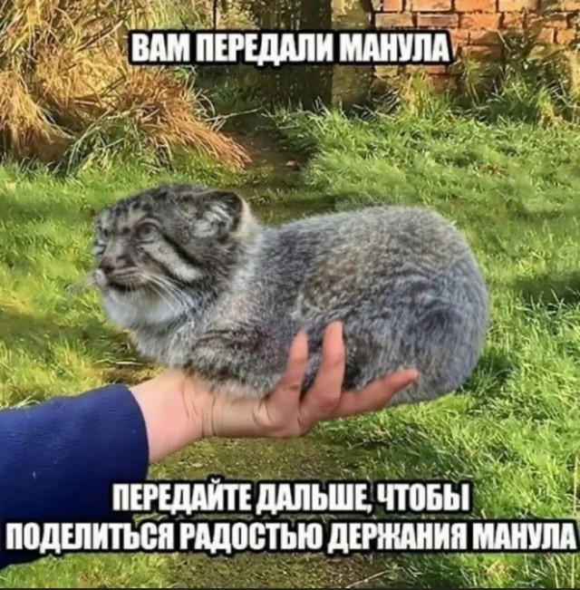Так себе картинки 02.12.24