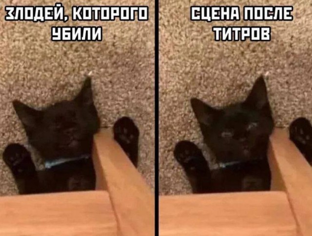 Завалялось тут случайно немного забавных картинок