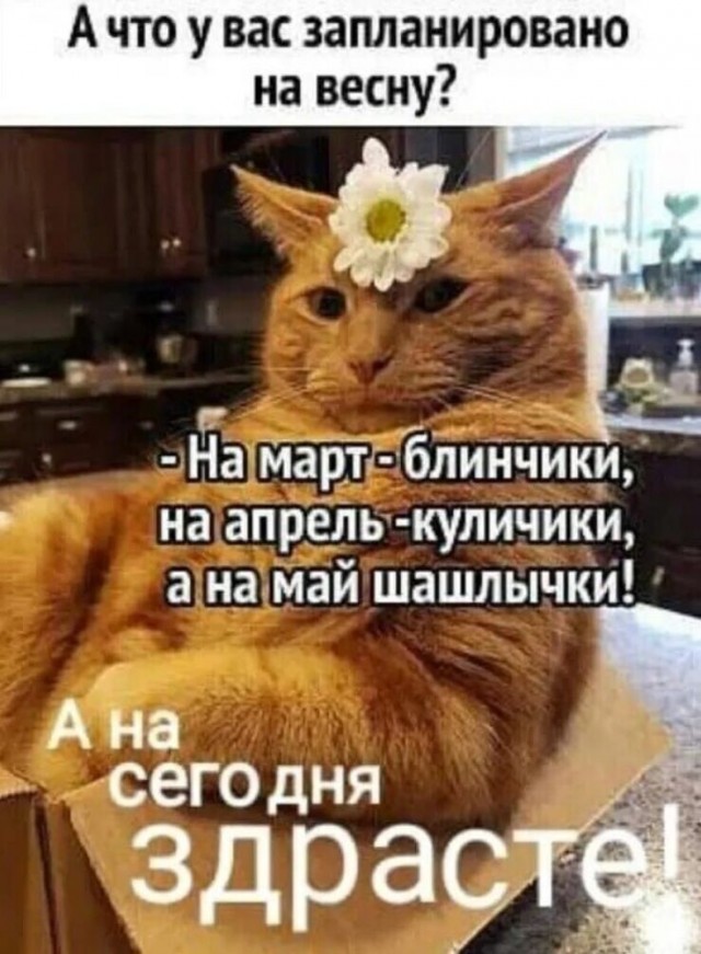 Прикольные и просто красивые картинки 04.03. 2025