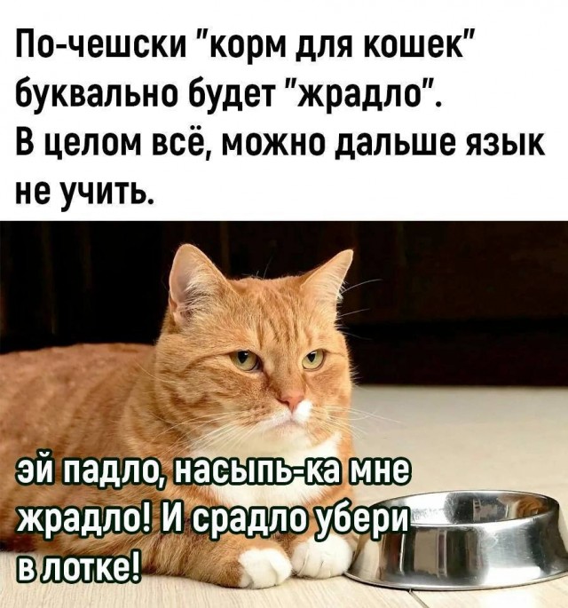 Картинки со стишками депресняшками - 11