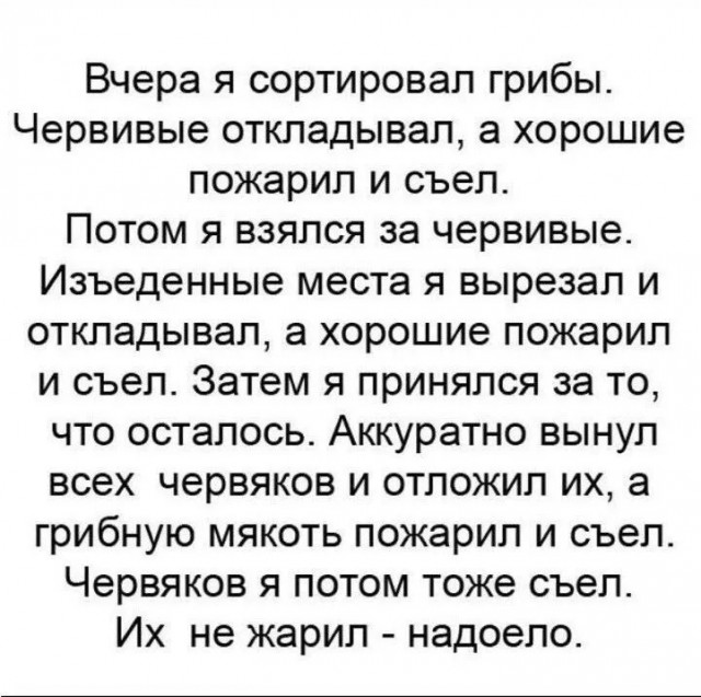 Юмор для тех, кто уже повзрослел и понял, что «свободное время» — это мираж в пустыне