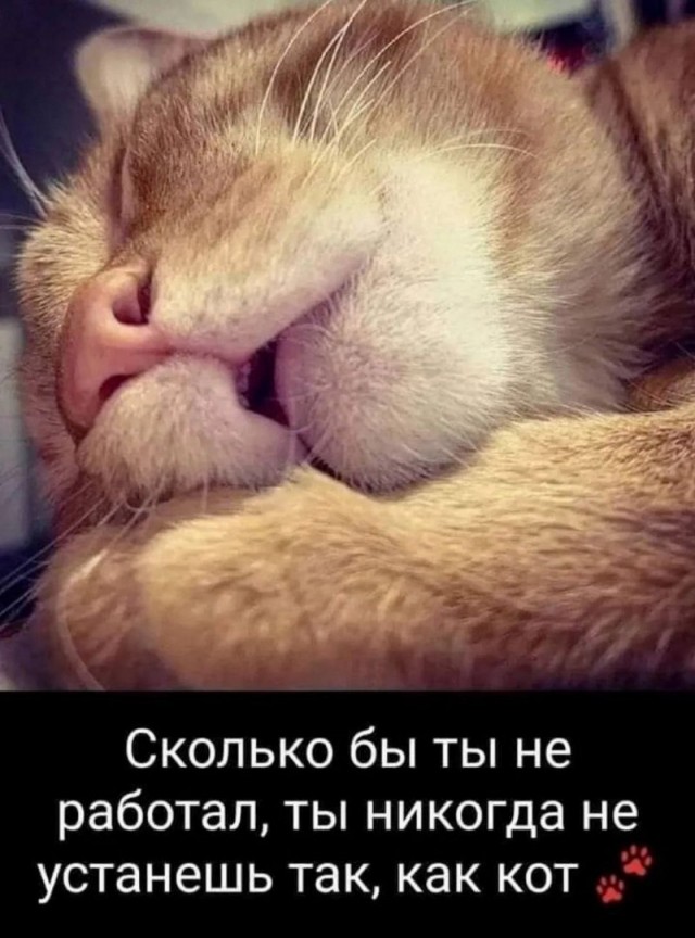 Россияне массово мечтают уволиться с работы и думают об этом постоянно, — опрос